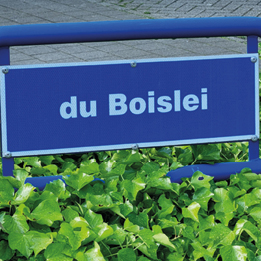 Waarom heeft Baron Ferdinand du Bois de Nevele een straat gekregen in het centrum van Brasschaat?