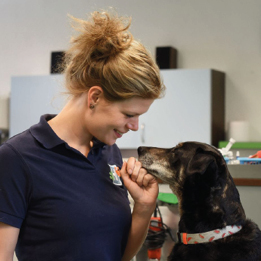 Hart voor dieren in hartje Hilversum